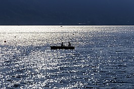 劃艇,湖,對(duì)