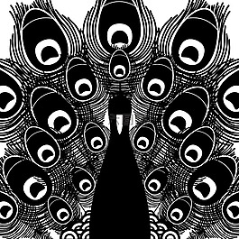 孔雀,鳥,動(dòng)物