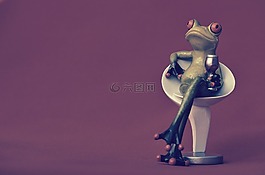 青蛙,椅子,舒適