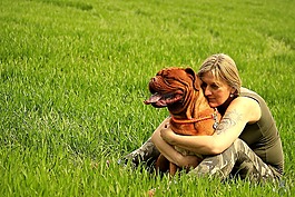 波尔多,狗,dogue
