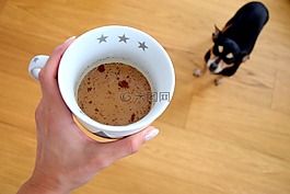 咖啡,狗,咖啡因