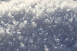 弗羅斯特,雪,冬天
