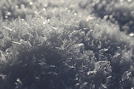 弗羅斯特,雪,冬天