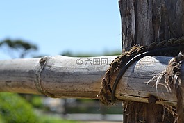 天空,綠色,木材