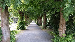 喪,墳場,離