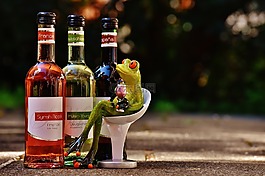 青蛙,酒,喝