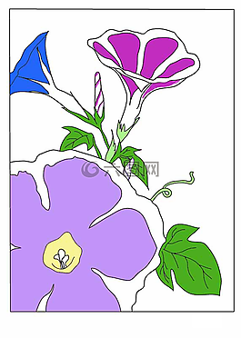 牽?；?夏季,鮮花