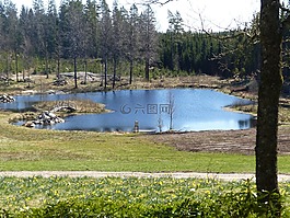 灰塵,花園,大自然