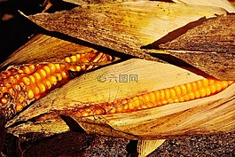 玉米,蔬菜,食品