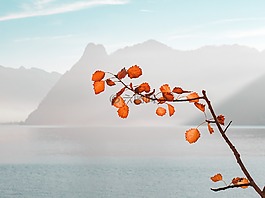 秋季,秋天的顏色,湖