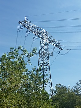 strommast,性質(zhì),樹木