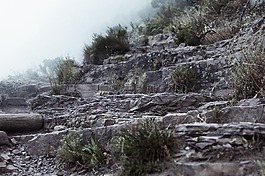 山,徑,云