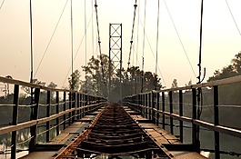 日落,橋,河
