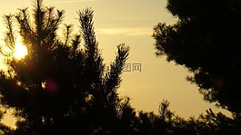 日出,天空,morgenstimmung
