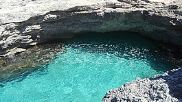 海,麥芽,小茴香