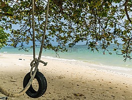輪胎秋千,海灘,夏天