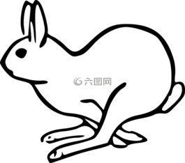 兔子,野兔,哺乳動(dòng)物