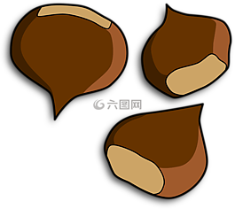 栗子,conker,堅(jiān)果