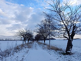 冬天,雪,蓝蓝的天空