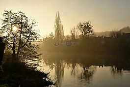 性質(zhì),樹,黎明