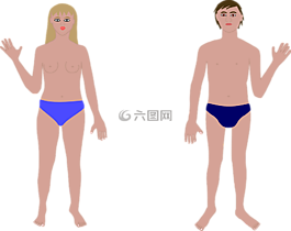 解剖,身體,夫婦