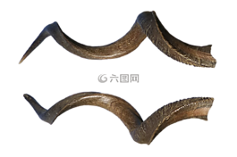 角,恶魔,万圣节