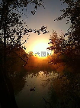 安靜,戶外,自然