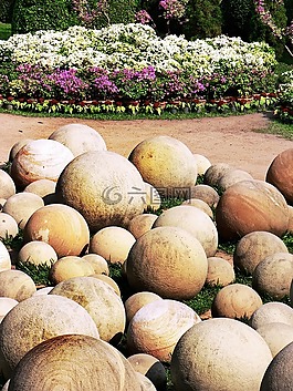 曼谷,花園,球