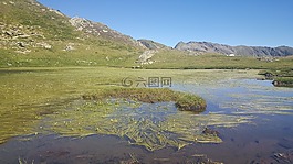 組織,estany,山