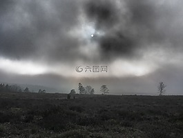 沼泽地,雾,秋季的夜晚