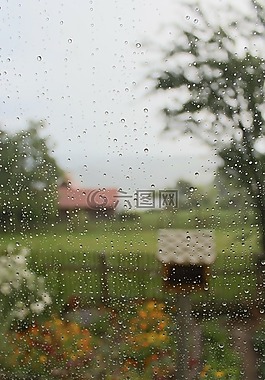 花園,雨,天氣