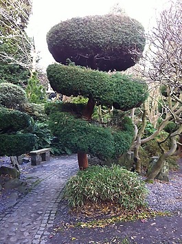 花園,托皮,對沖