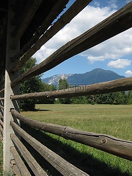 籬笆,牧場,草地