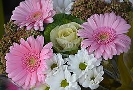 花,鮮花,插花