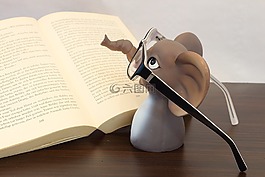 象,眼鏡,本書