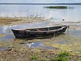 性質(zhì),湖,度假
