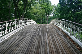 紐約市,橋,中央公園