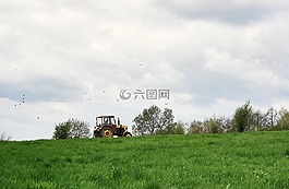 拖拉機(jī),鳥(niǎo),草甸