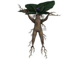 alraune,根,幻想