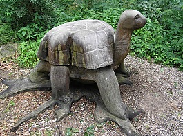 龜,動物,kanske