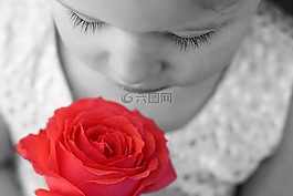 兒童,玫瑰,花