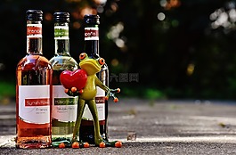 青蛙,愛情,慶祝