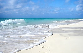 海灘,夏天,古巴