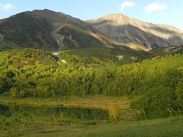 山,湖,森林