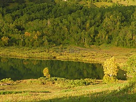 山,湖,森林