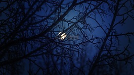 蓝蓝的夜,月球,冬天