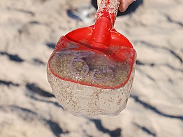 水母,海灘,波羅的海