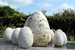 appeltern,性質(zhì),夏天