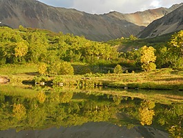 山,湖,森林
