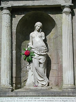 女子,女性,花